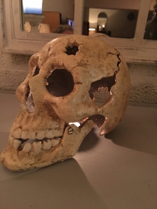 Grote Anatomische Schedel - Gietijzer - White-Rust